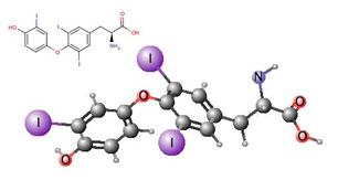 Triiodothyronine (T3) Triiodothyronine (T3)